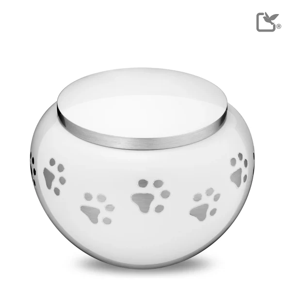 Classic Round Pet Collection - White