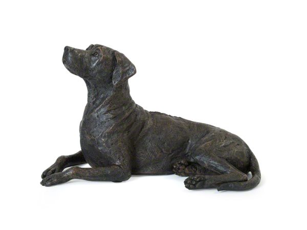 Rhodesian Ridgeback Urn - Afbeelding 3