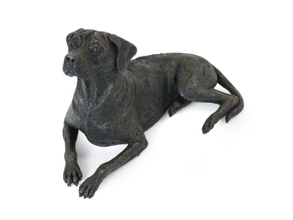 Rhodesian Ridgeback Urn - Afbeelding 2